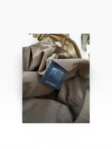 Fendi Spy Bag | Gold Metallic