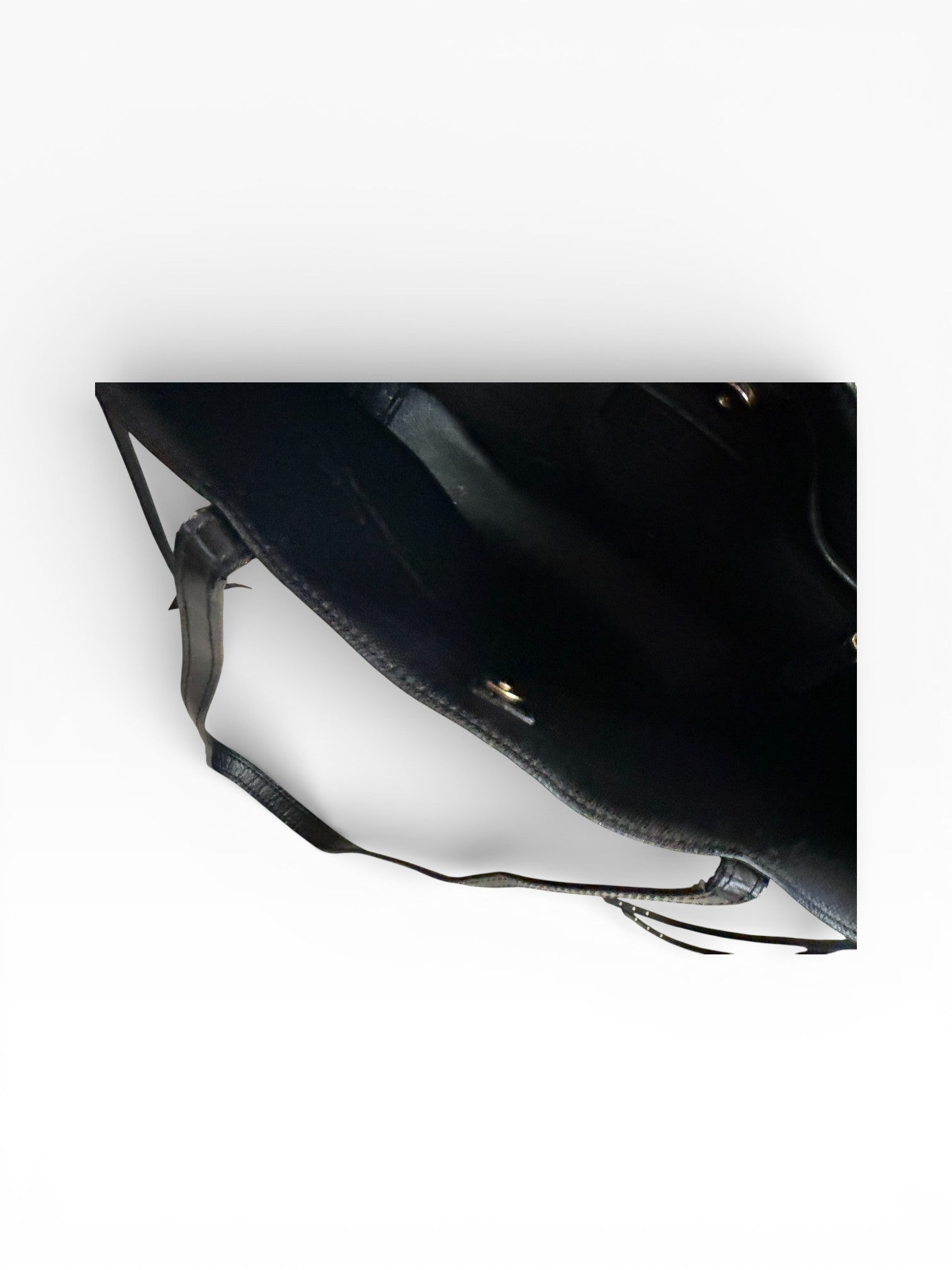 Coach Chelsea Tattoo Rose Signature Tote