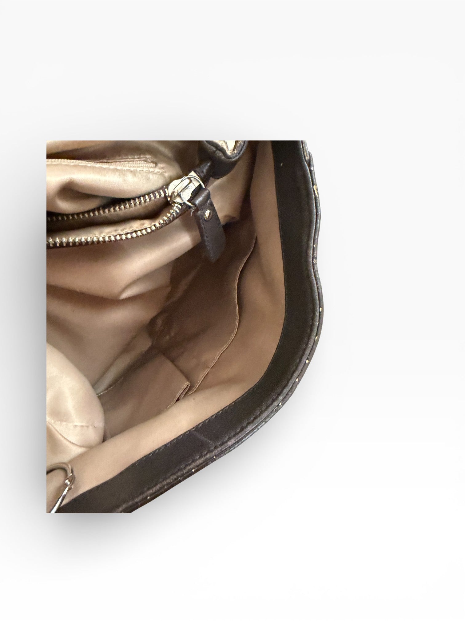 Coach Python Print Turnlock Crossbody Bag