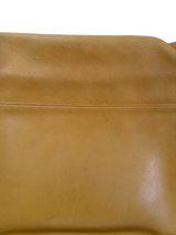 Coach Whitney Flap Crossbody Bag
